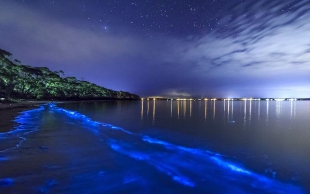 这个地方被誉为通往加勒比的门户,夜晚的美景